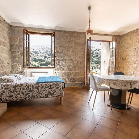 Spacieux Studio, Coeur De Sartene Bagian luar foto